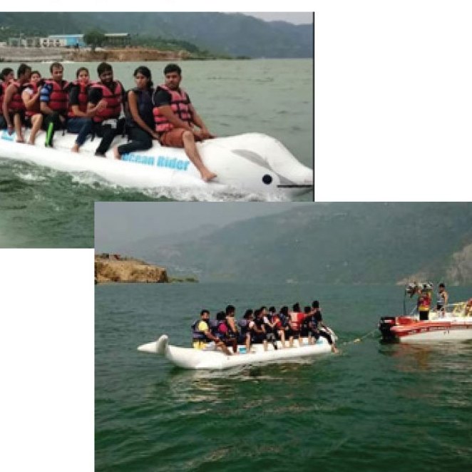 Dolphin Banana Boat