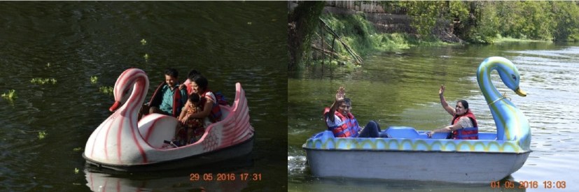 Swan, Dragon Shaped Boat — photo 1