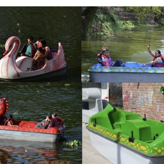 Swan, Dragon Shaped Boat